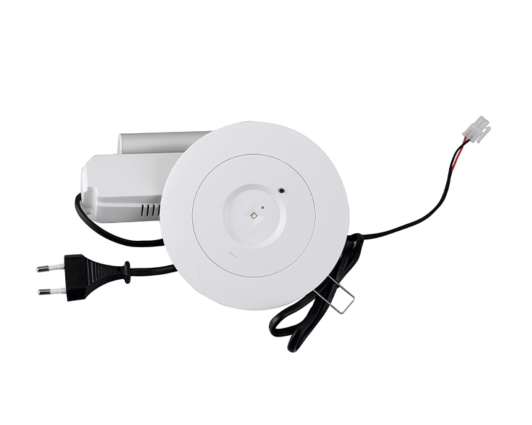 D40-R-2 LED Downlight Emergency Fixt
