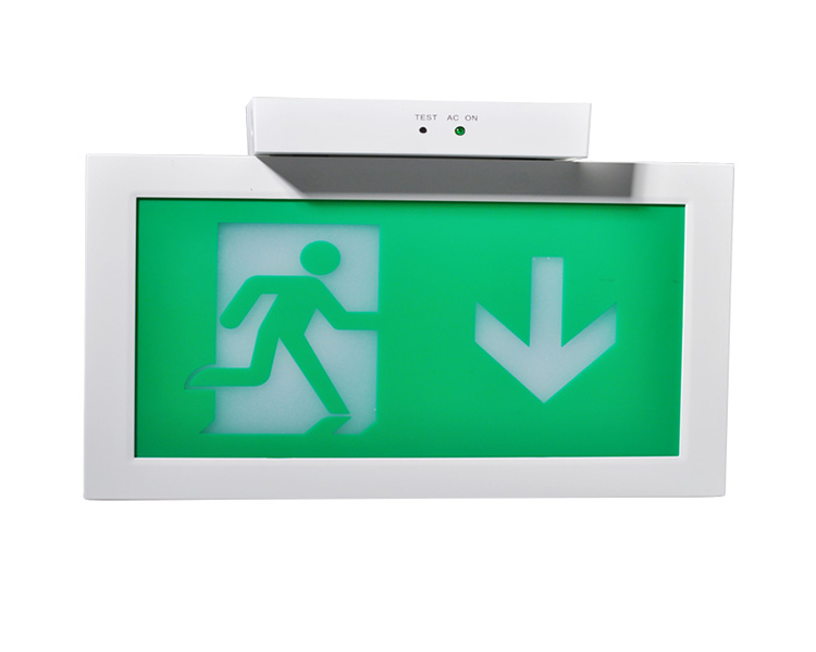 LE2915-Isang kisame na naka-mount ng dobleng mga palatandaan ng exit exit