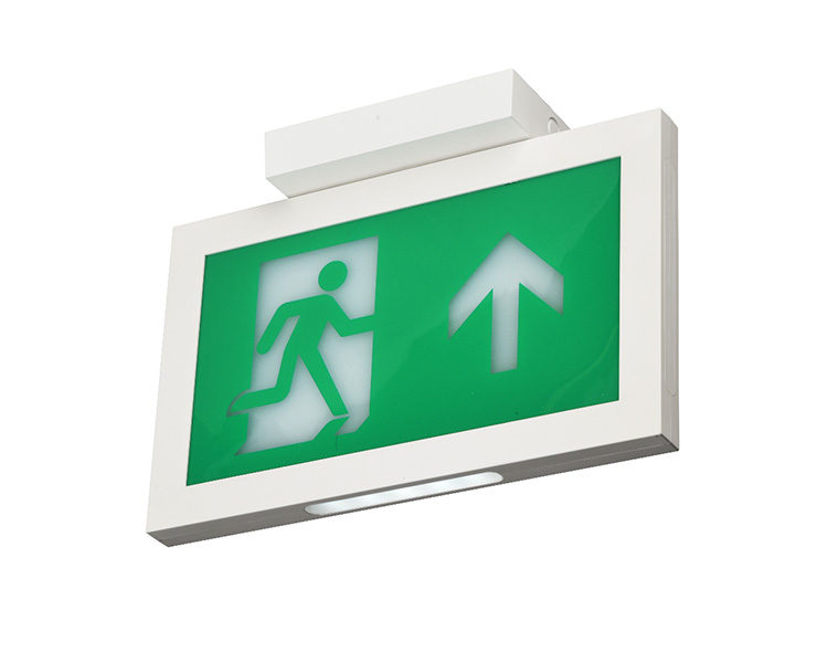 LE2915-Isang kisame na naka-mount ng dobleng mga palatandaan ng exit exit