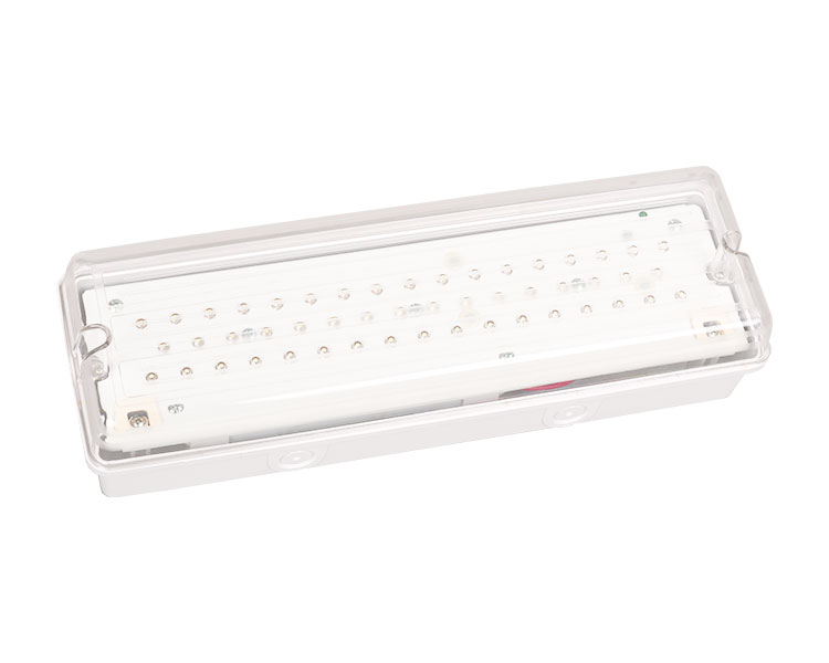 LE502L IP65 50LED na hindi tinatagusan ng tubig na emergency light