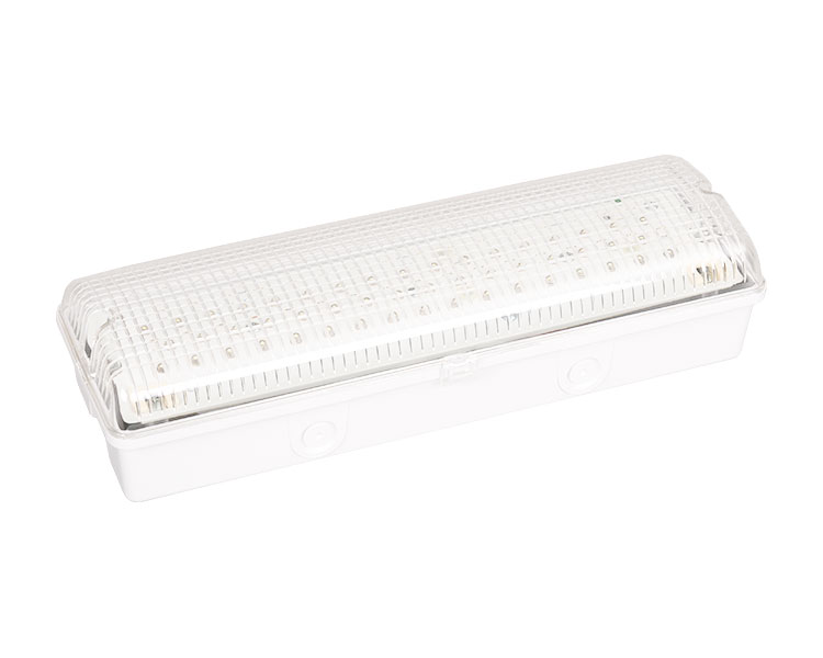 LE502L IP65 50LED na hindi tinatagusan ng tubig na emergency light
