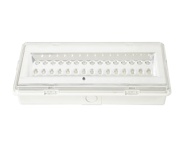 Ang LE503L na hindi pinapanatili ng LED na hindi tinatagusan ng tubig na emergency lampara