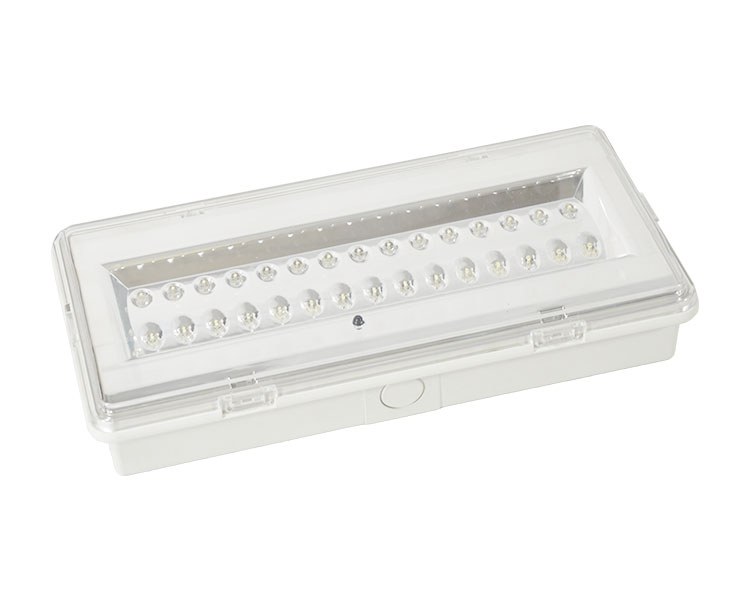 Ang LE503L na hindi pinapanatili ng LED na hindi tinatagusan ng tubig na emergency lampara