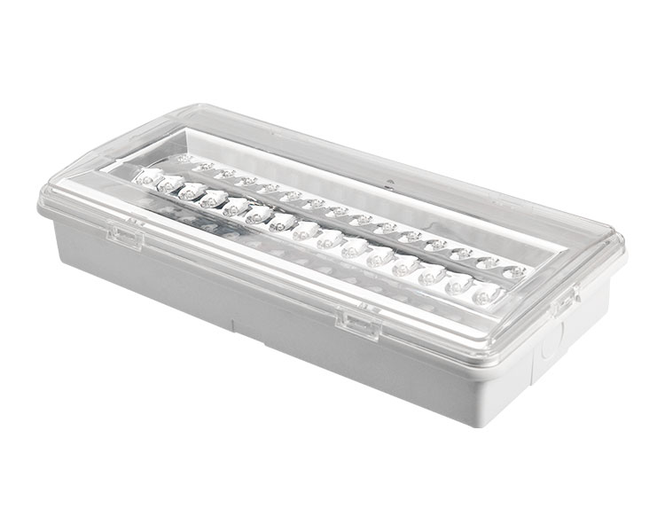 Ang LE503L na hindi pinapanatili ng LED na hindi tinatagusan ng tubig na emergency lampara