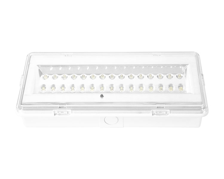 Ang LE503L na hindi pinapanatili ng LED na hindi tinatagusan ng tubig na emergency lampara