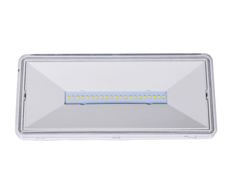 LE515-21 I-clear ang polycarbonate diffuser 21led waterproof luminaires