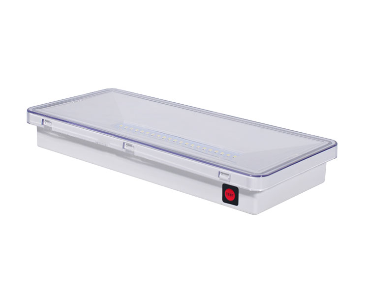 LE515-21 I-clear ang polycarbonate diffuser 21led waterproof luminaires