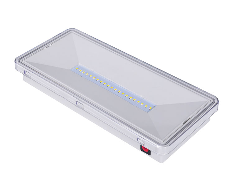 LE515-21 I-clear ang polycarbonate diffuser 21led waterproof luminaires